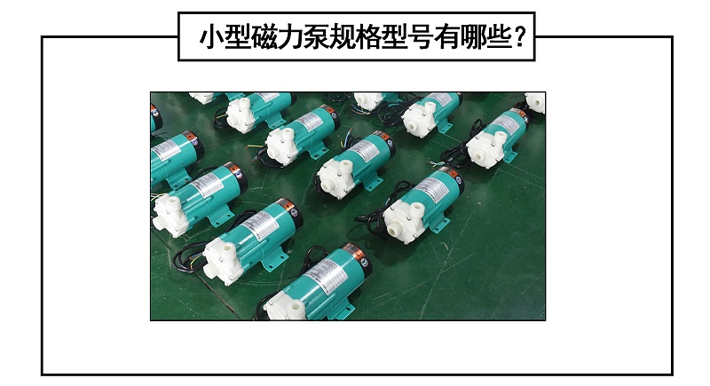 小型磁力泵規(guī)格型號(hào)有哪些？