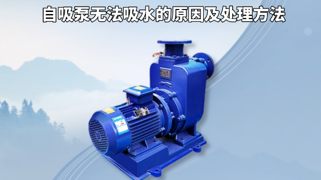 自吸泵無(wú)法吸水的原因及處理方法