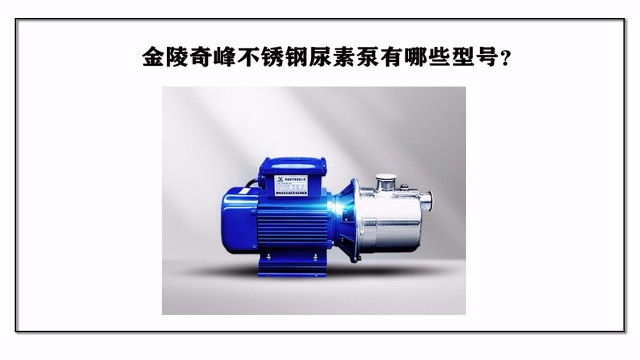 金陵奇峰不銹鋼尿素泵有哪些型號？